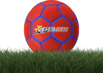 Soccer ball on grass